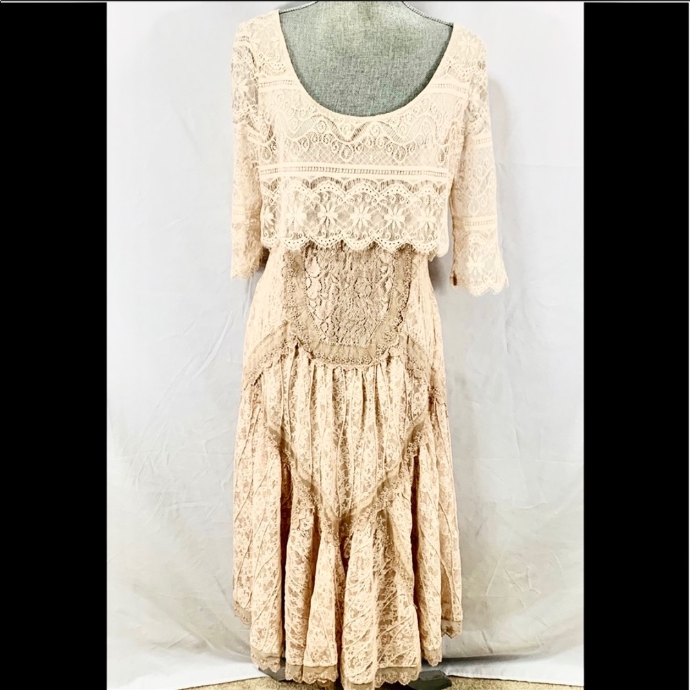 Gorgeous Free People blush, high low lace dress